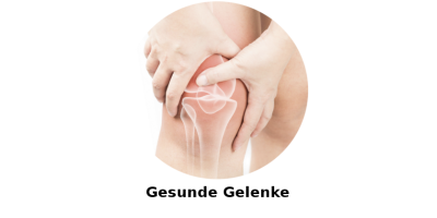 Gesunde Gelenke