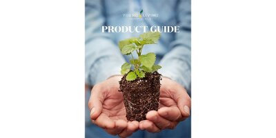 Young Living Aktion