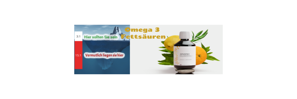 Omega 3 Fettsäuren - Wirkung, Tagesbedarf &amp; wo sie enthalten sind - Omega 3 Fettsäuren - Wirkung, Tagesbedarf &amp; wo sie enthalten sind