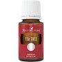 Tea Tree - Teebaum Ätherisches Öl - 15 ml