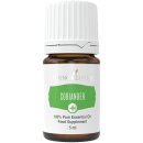 Coriander+ - 5 ml