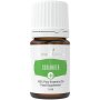 Coriander+ - 5 ml