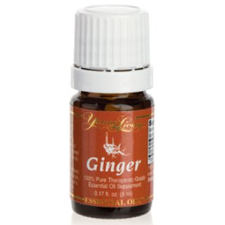 Ginger - Ingwer Ätherisches Öl - 5 ml