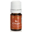 Ginger - Ingwer Ätherisches Öl - 5 ml