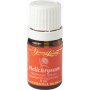 Helichrysum - Immortelle Ätherisches Öl - 5 ml