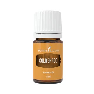 Goldenrod-Goldrute-5ml