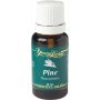 Pine - Kiefer Ätherisches Öl - 15 ml