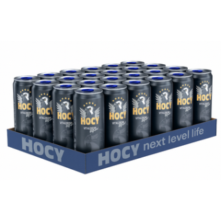 HOCY Vitaldrink    24 Dosen a´ 250ml