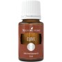 Clove - Nelke Ätherisches Öl - 5 ml