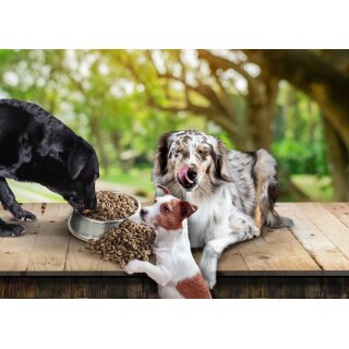 Fedor dogs Adult vital - Superfood  12kg