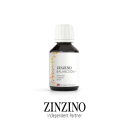 Omega3 BalanceOil+ 100ml