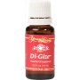 DiGize - Magenwohl Ätherisches Öl - 15 ml