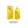 X GOLD Kurkuma fl&uuml;ssig 250 ml