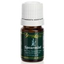 Spearmint - Minze  Ätherisches Öl  5ml