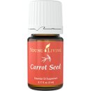 Karottensamen -Carrot Ätherisches Öl - 5 ml