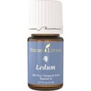 Ledum Ätherisches Öl - 5ml