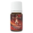 Light The Fire - 5ml