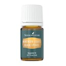 Northern Lights Schwarzfichte - 5ml