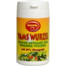 Yamswurzelpulver Extrakt mit 20% Diosgenin 50g